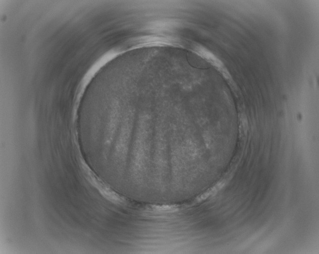 X0000080181427200612221304