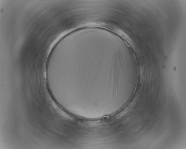 X0000080181428200612221304