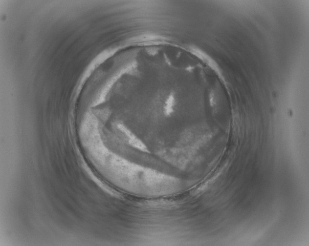 X0000080181429200612221304