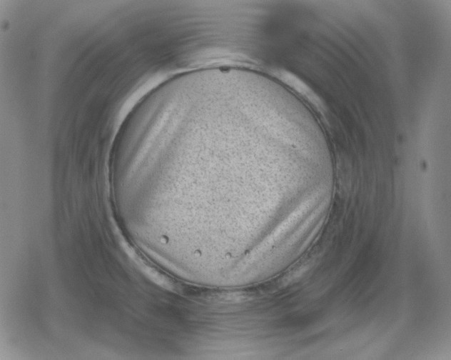 X0000080181431200612221304