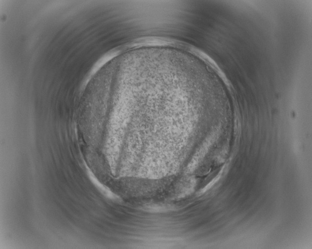 X0000080181433200612221304