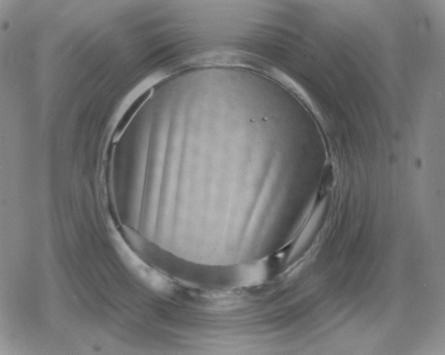 X0000080181434200612221305