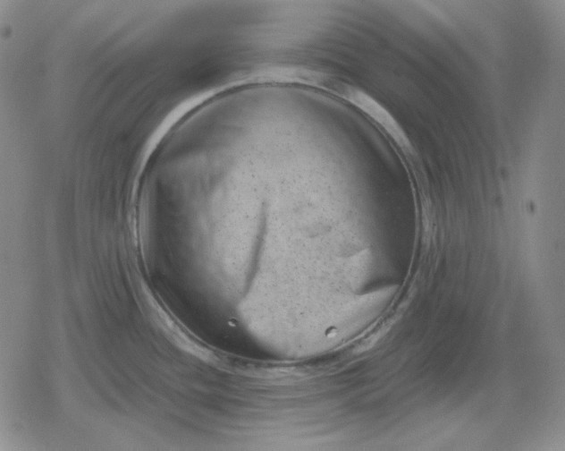 X0000080181436200612221305