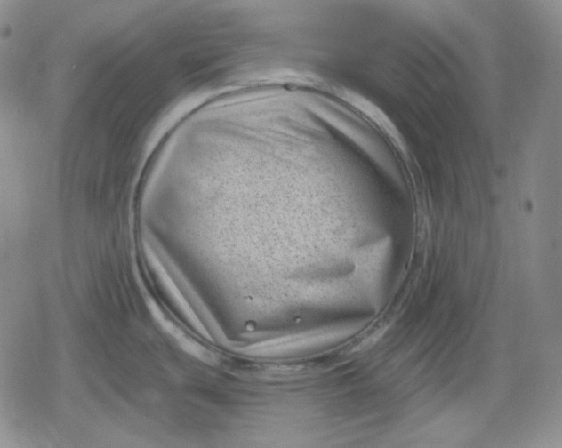 X0000080181439200612221305