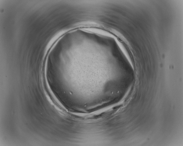 X0000080181440200612221305