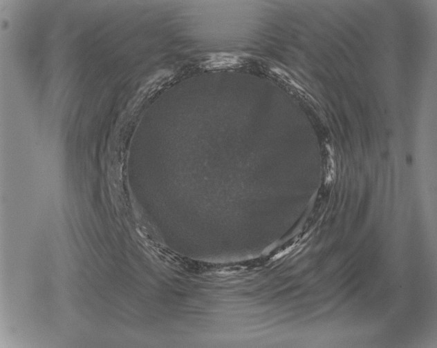 X0000080181441200612221304