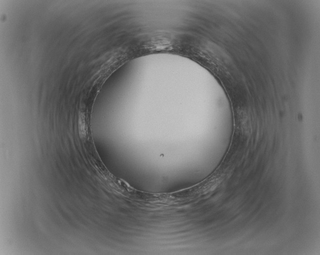 X0000080181442200612221304