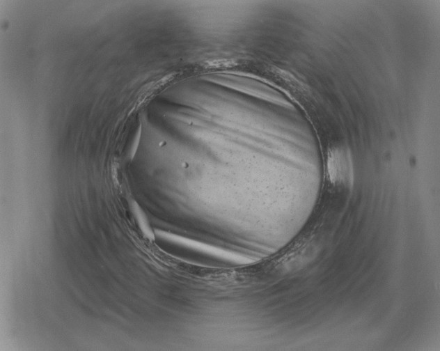 X0000080181444200612221304