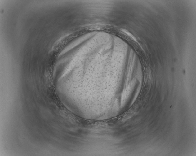 X0000080181446200612221304