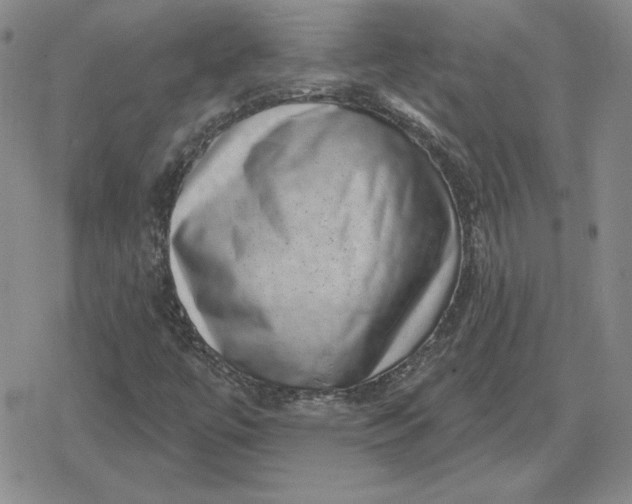 X0000080181447200612221304