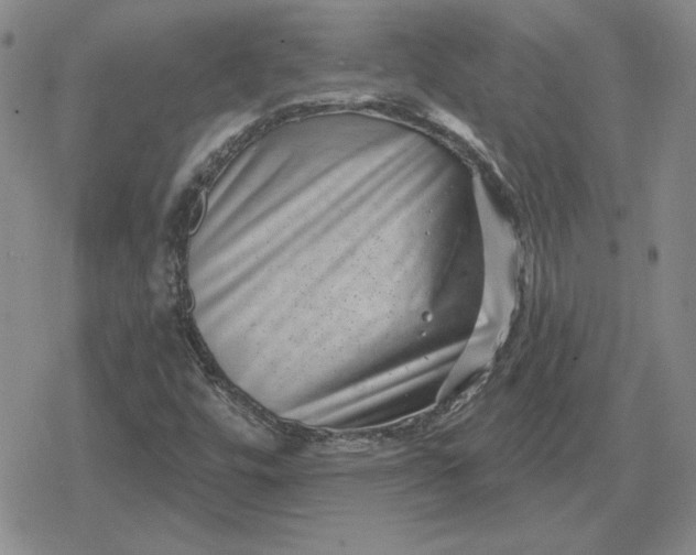 X0000080181448200612221304