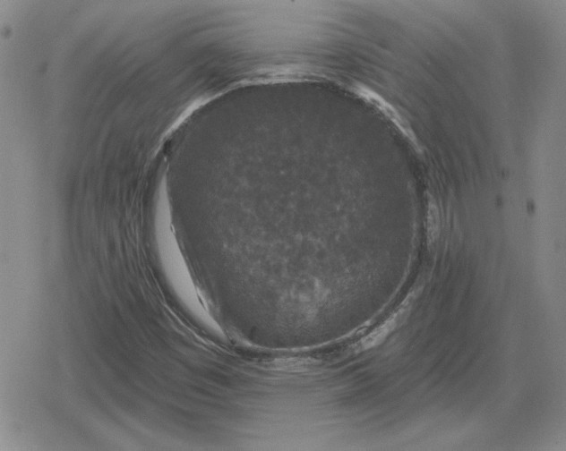 X0000080181449200612221304