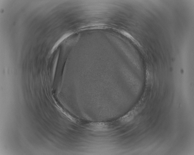 X0000080181450200612221304