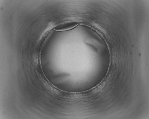 X0000080181451200612221304