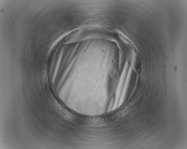 X0000080181452200612221304