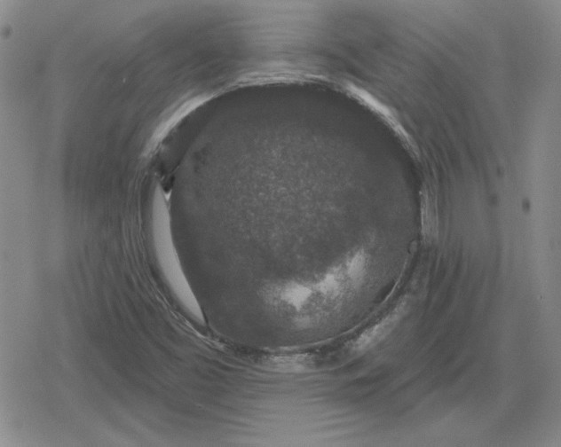 X0000080181453200612221304