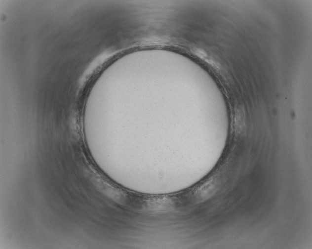 X0000080181454200612221304