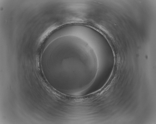 X0000080181455200612221304