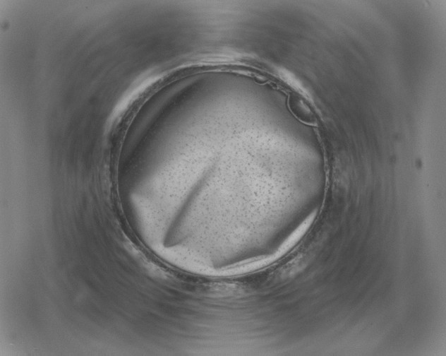 X0000080181456200612221304