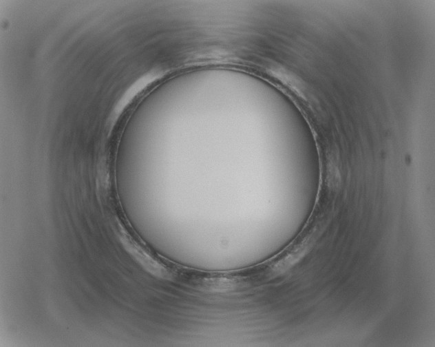 X0000080181458200612221304