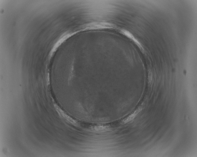 X0000080181459200612221304