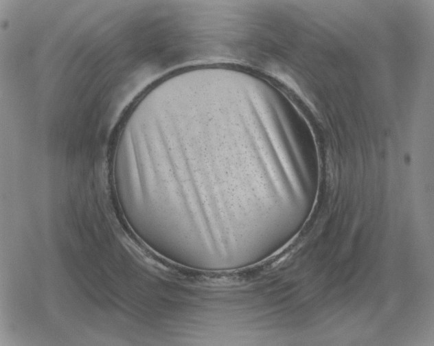 X0000080181460200612221304