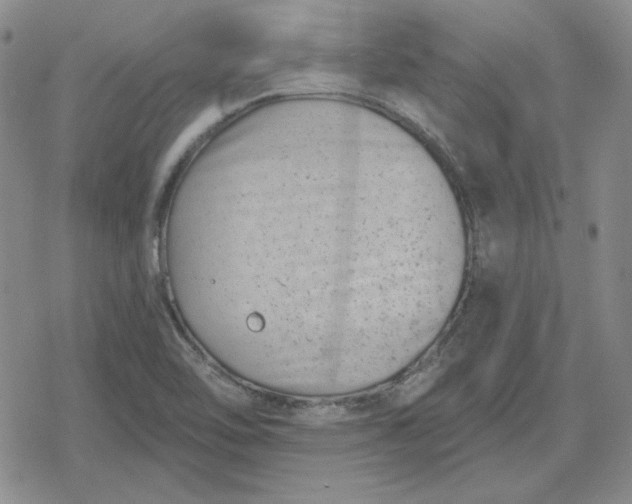 X0000080181462200612221303