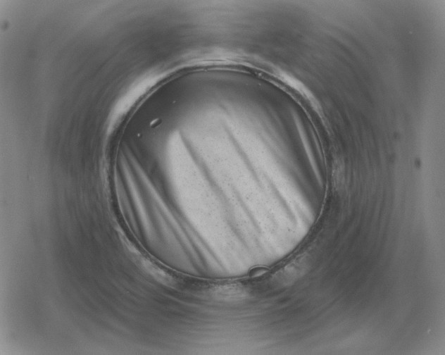 X0000080181464200612221303