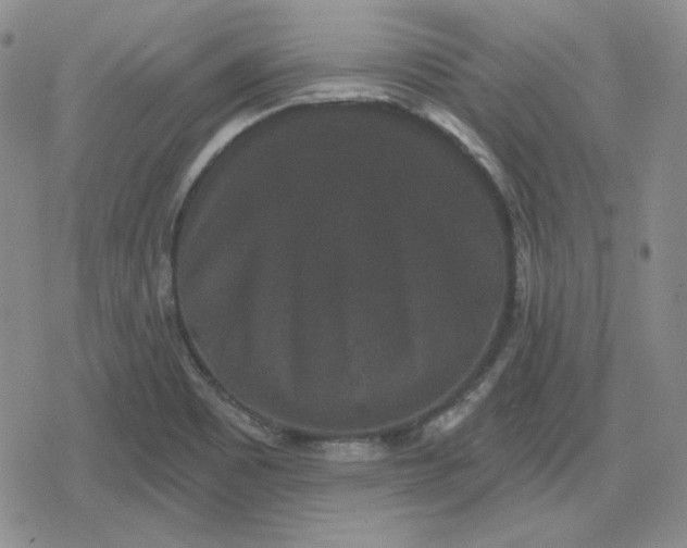 X0000080181465200612221303