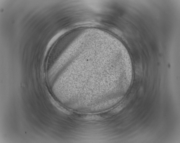 X0000080181466200612221303