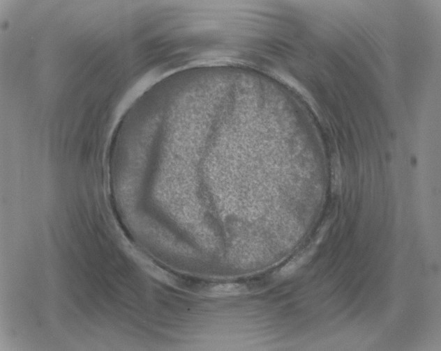 X0000080181467200612221303