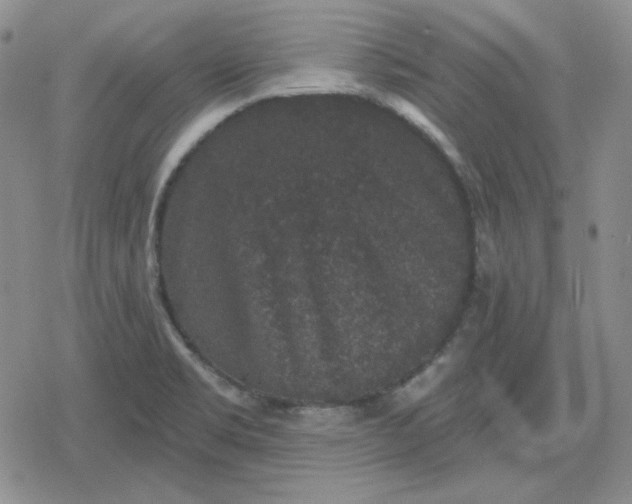 X0000080181469200612221303