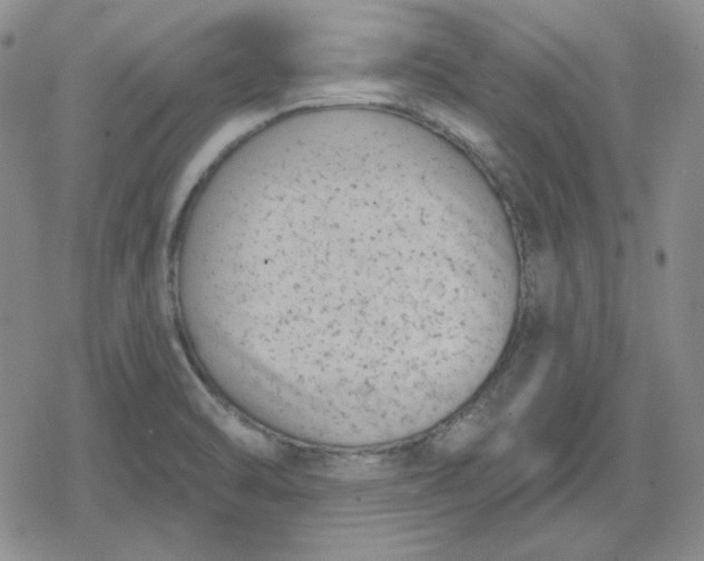 X0000080181470200612221303