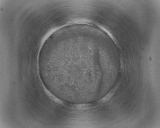 X0000080181471200612221303