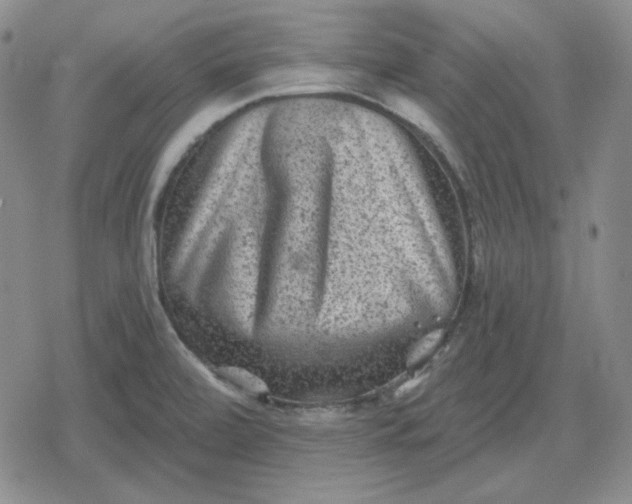 X0000080181472200612221303