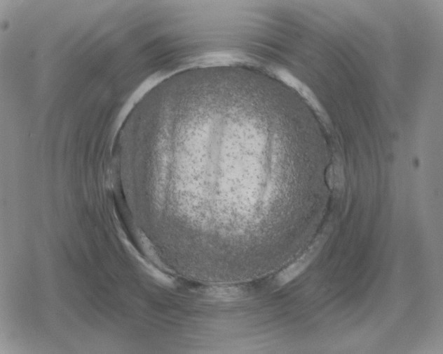 X0000080181473200612221303