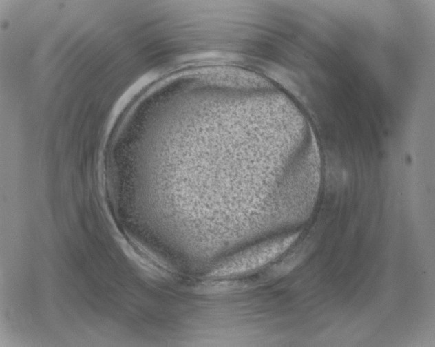 X0000080181474200612221303