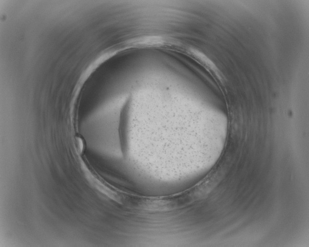 X0000080181475200612221303