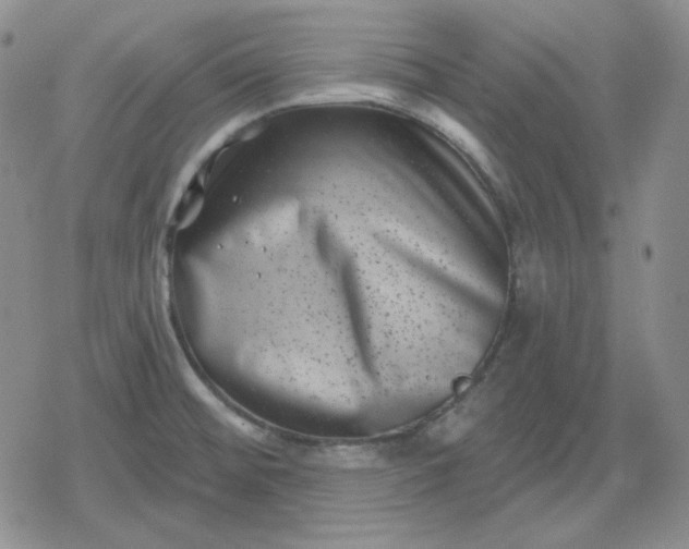 X0000080181476200612221303