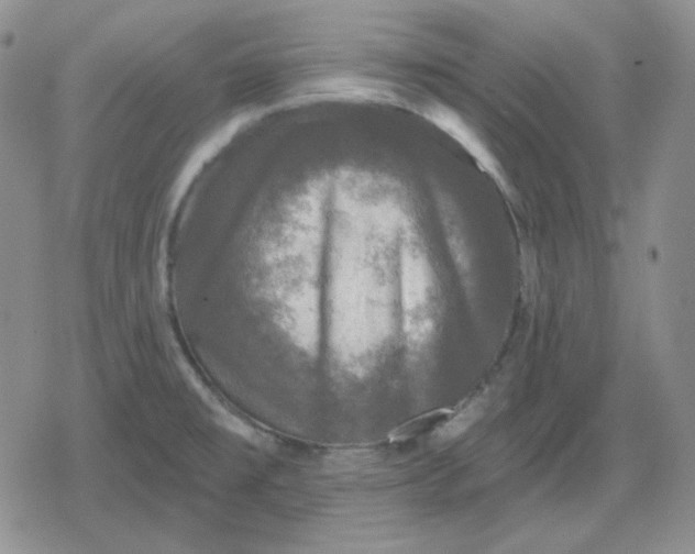 X0000080181477200612221303