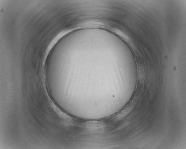 X0000080181478200612221303