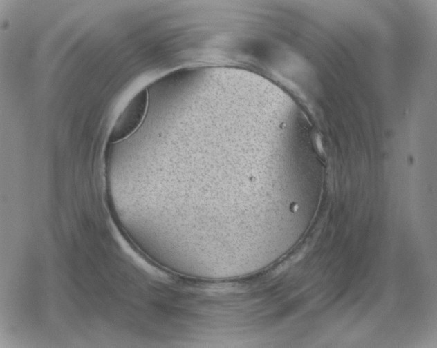 X0000080181479200612221303