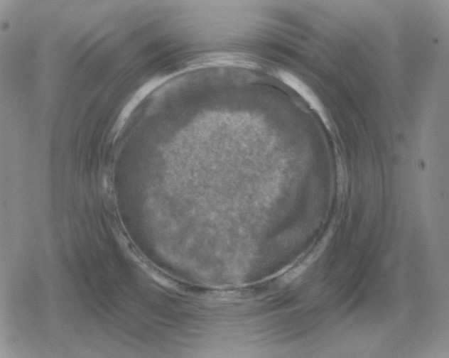 X0000080181481200612221303