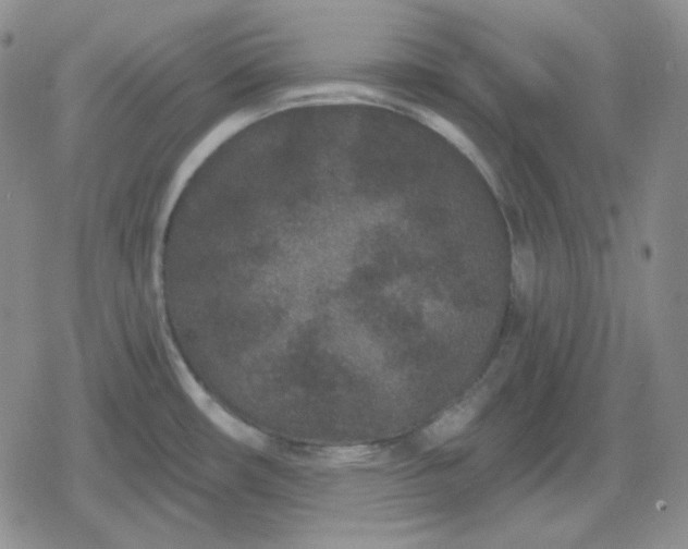 X0000080181482200612221303