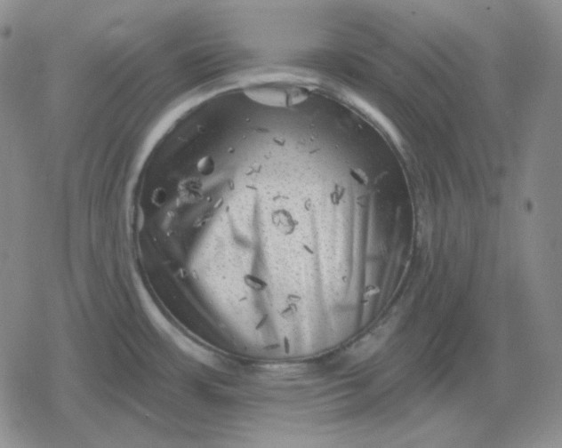 X0000080181483200612221303