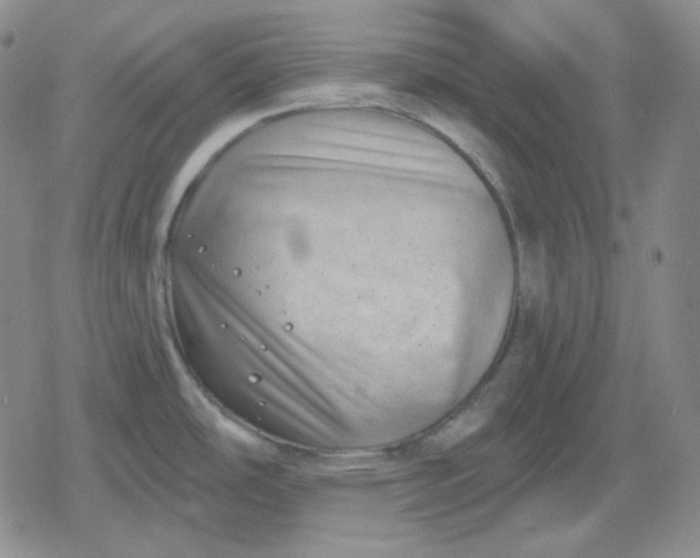 X0000080181486200612221303