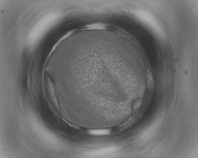 X0000080181487200612221303