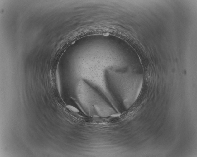 X0000080181490200612221302