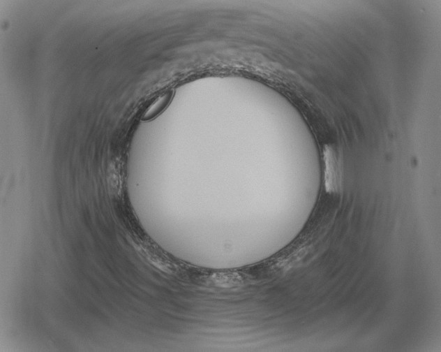 X0000080181491200612221302