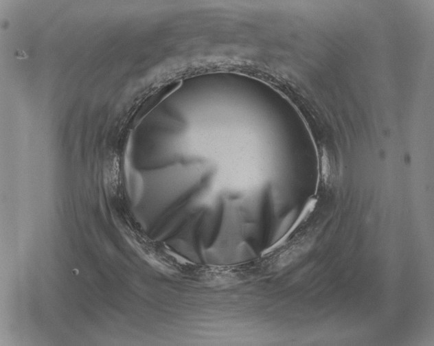 X0000080181492200612221302